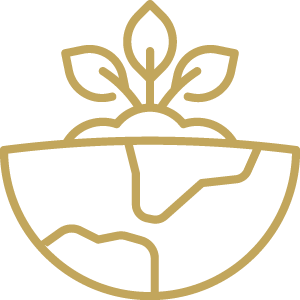 sustainability-icon-3