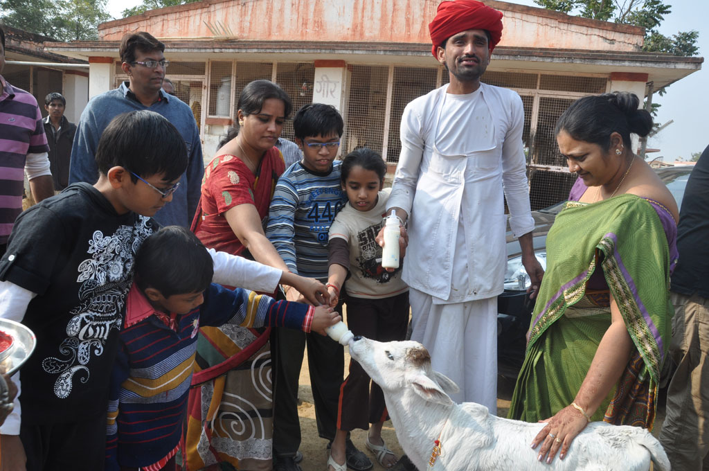 Copy of 02. Goushala - 5